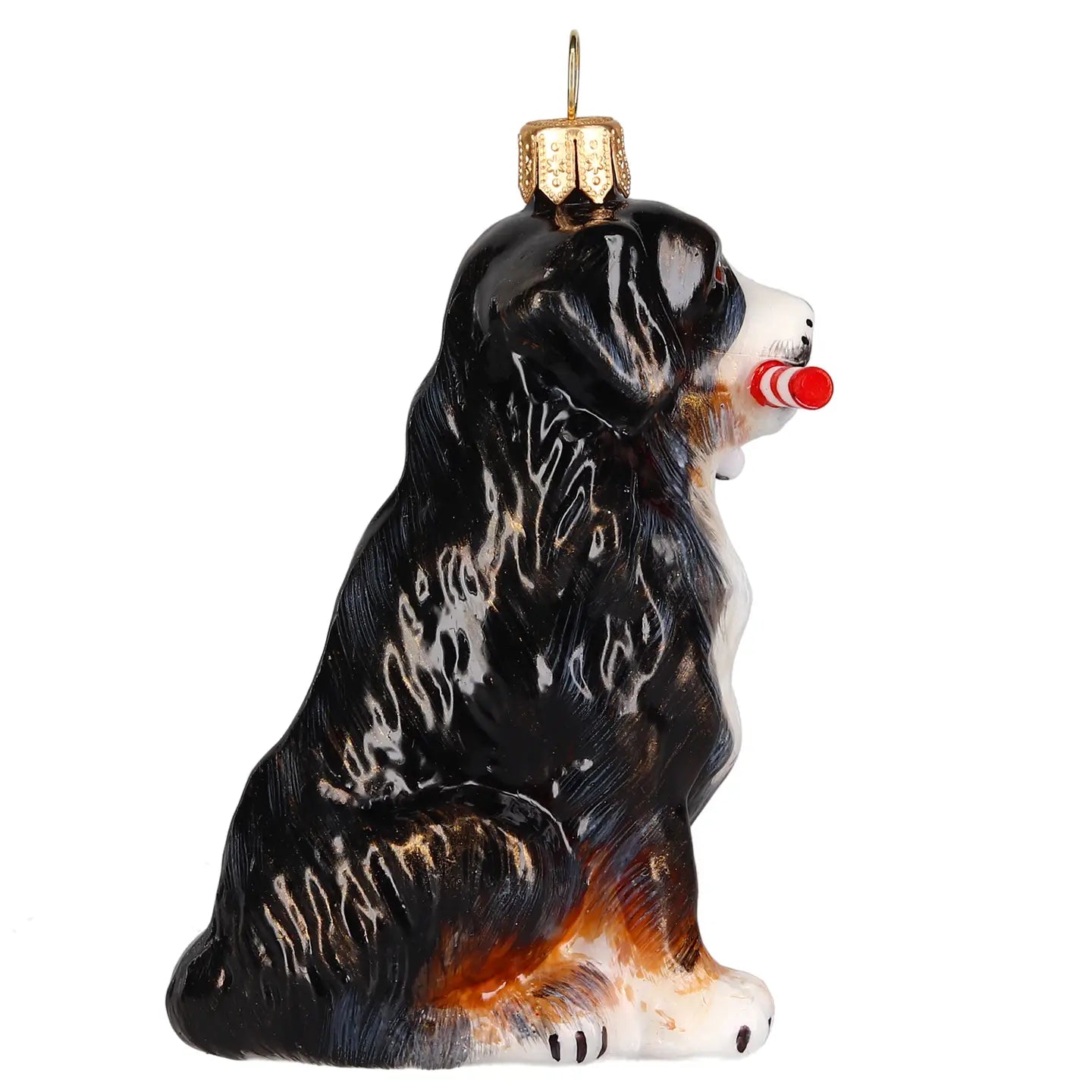 Bernese Mountain Dog with Candy Cane
