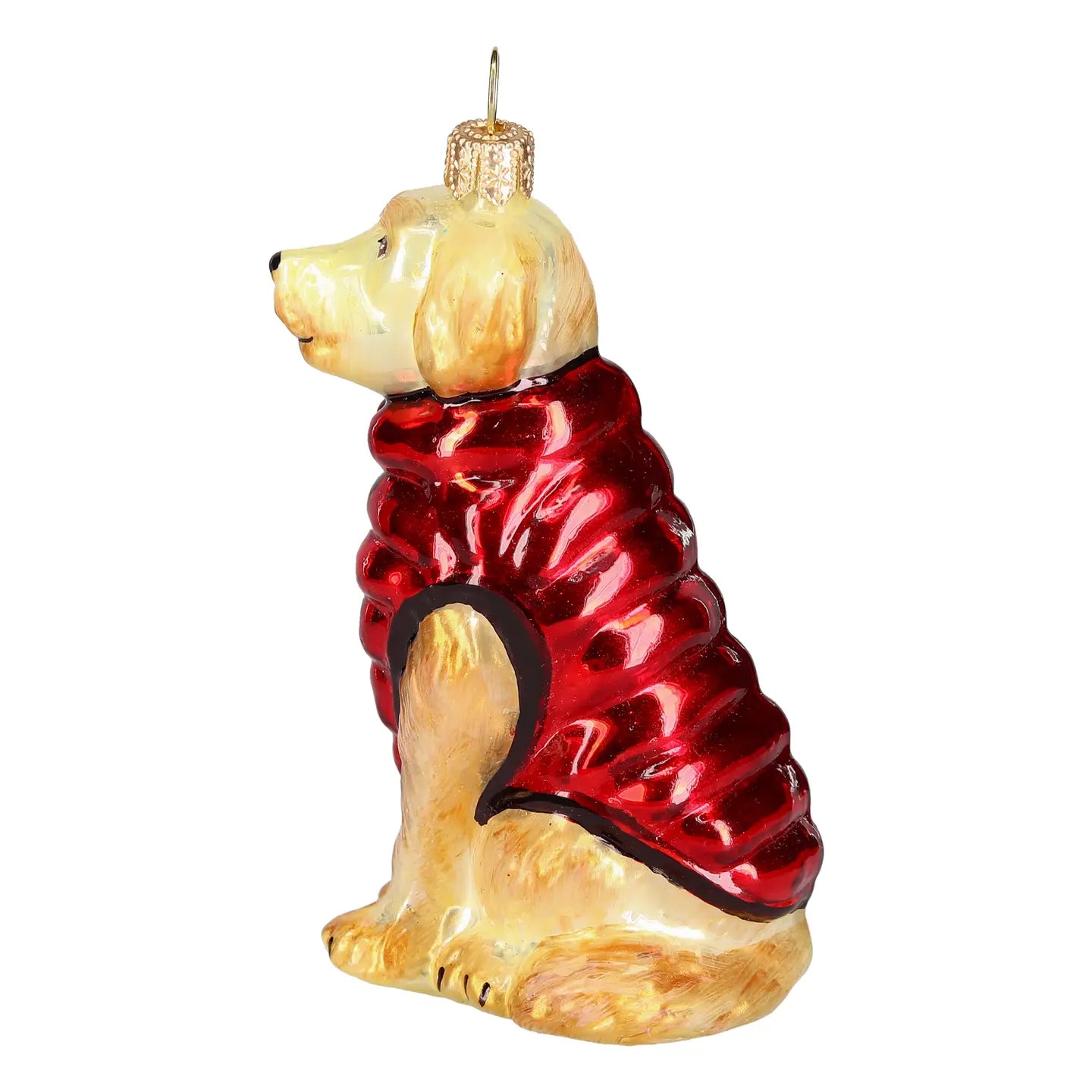 Golden Retriever in Puffer Coat