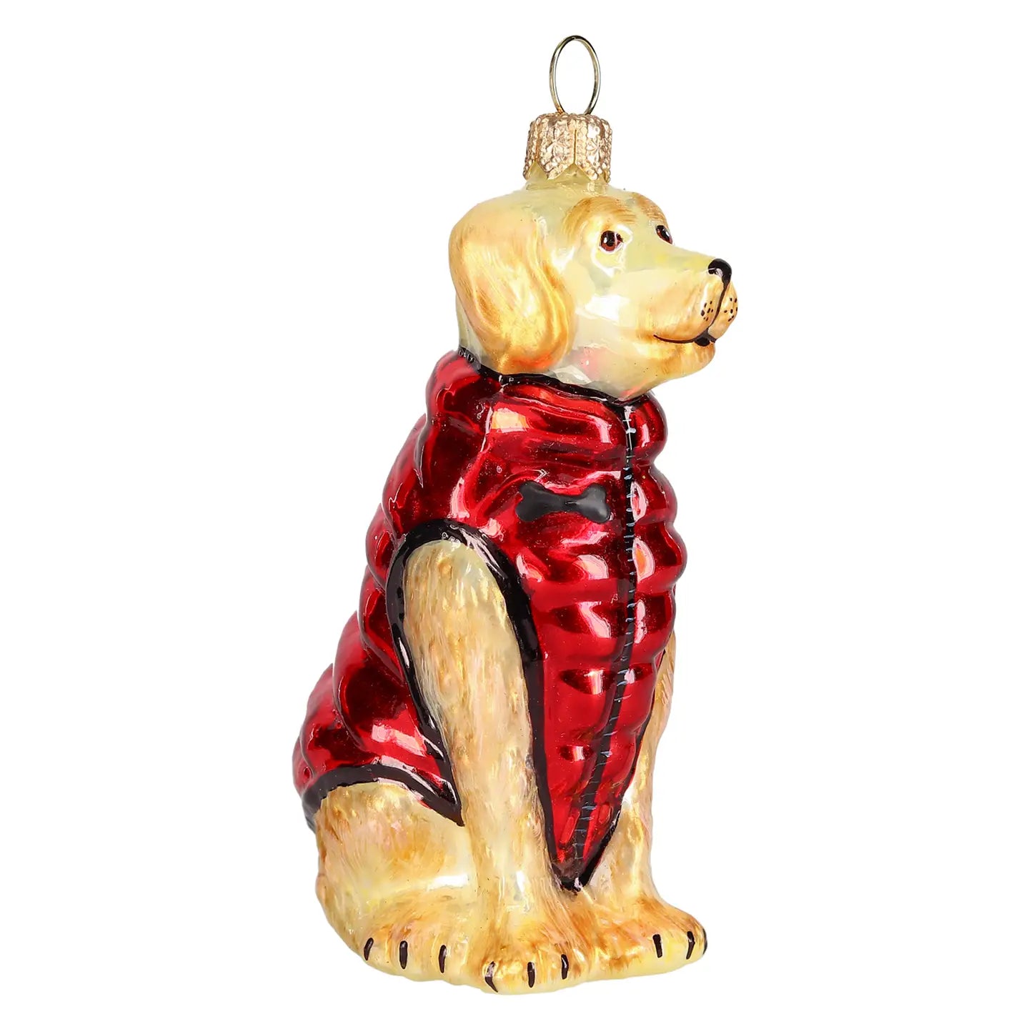 Golden Retriever in Puffer Coat