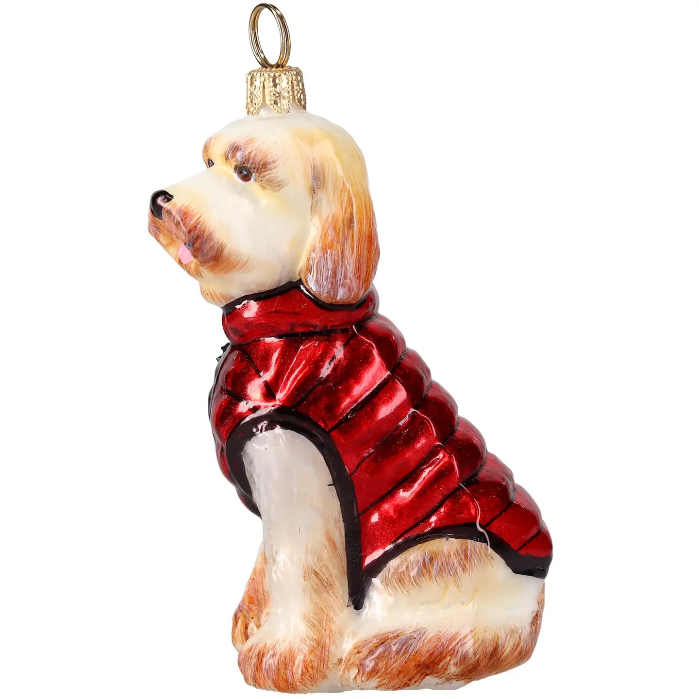 Goldendoodle in Winter Coat