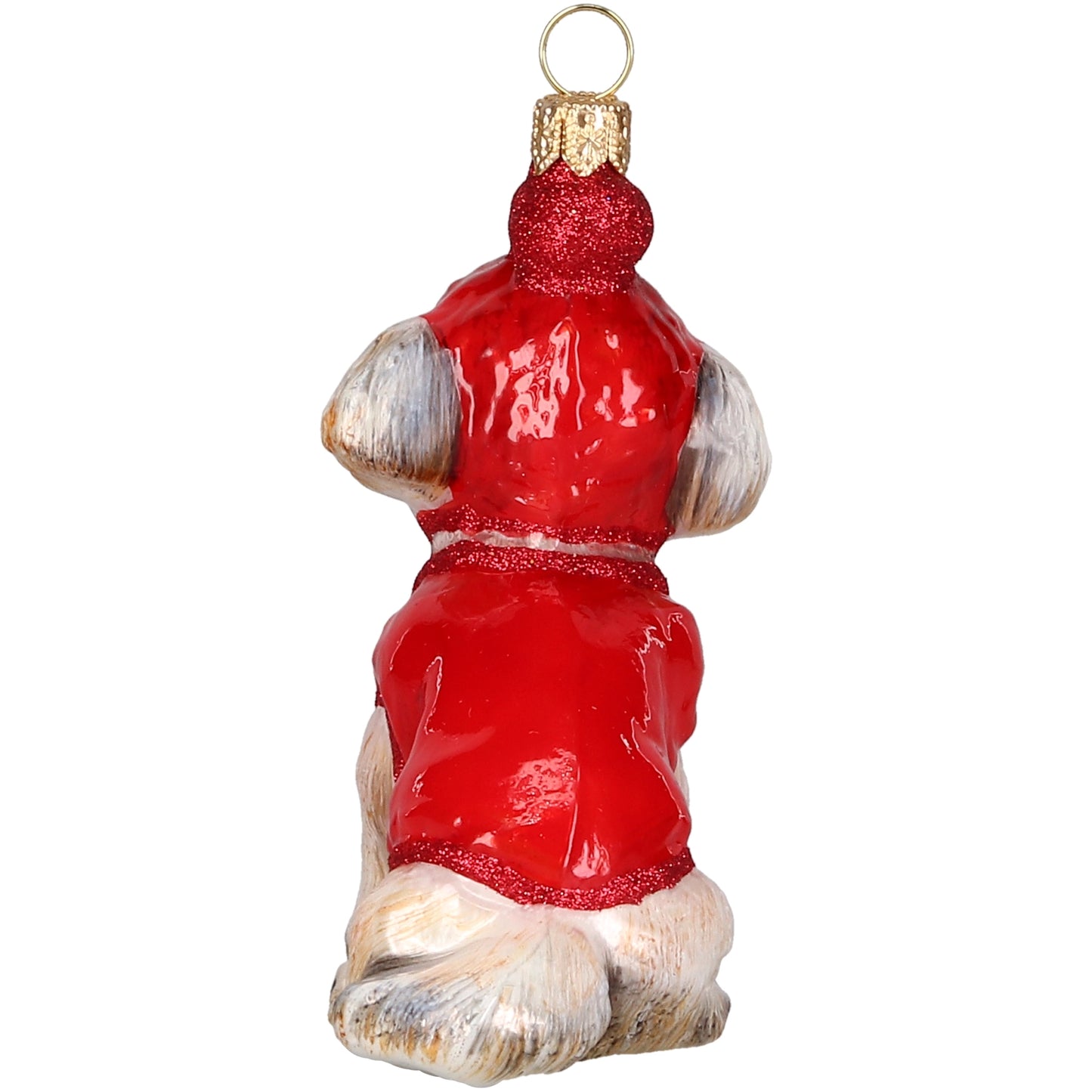 Shih Tzu in Winter Coat and Ski Hat