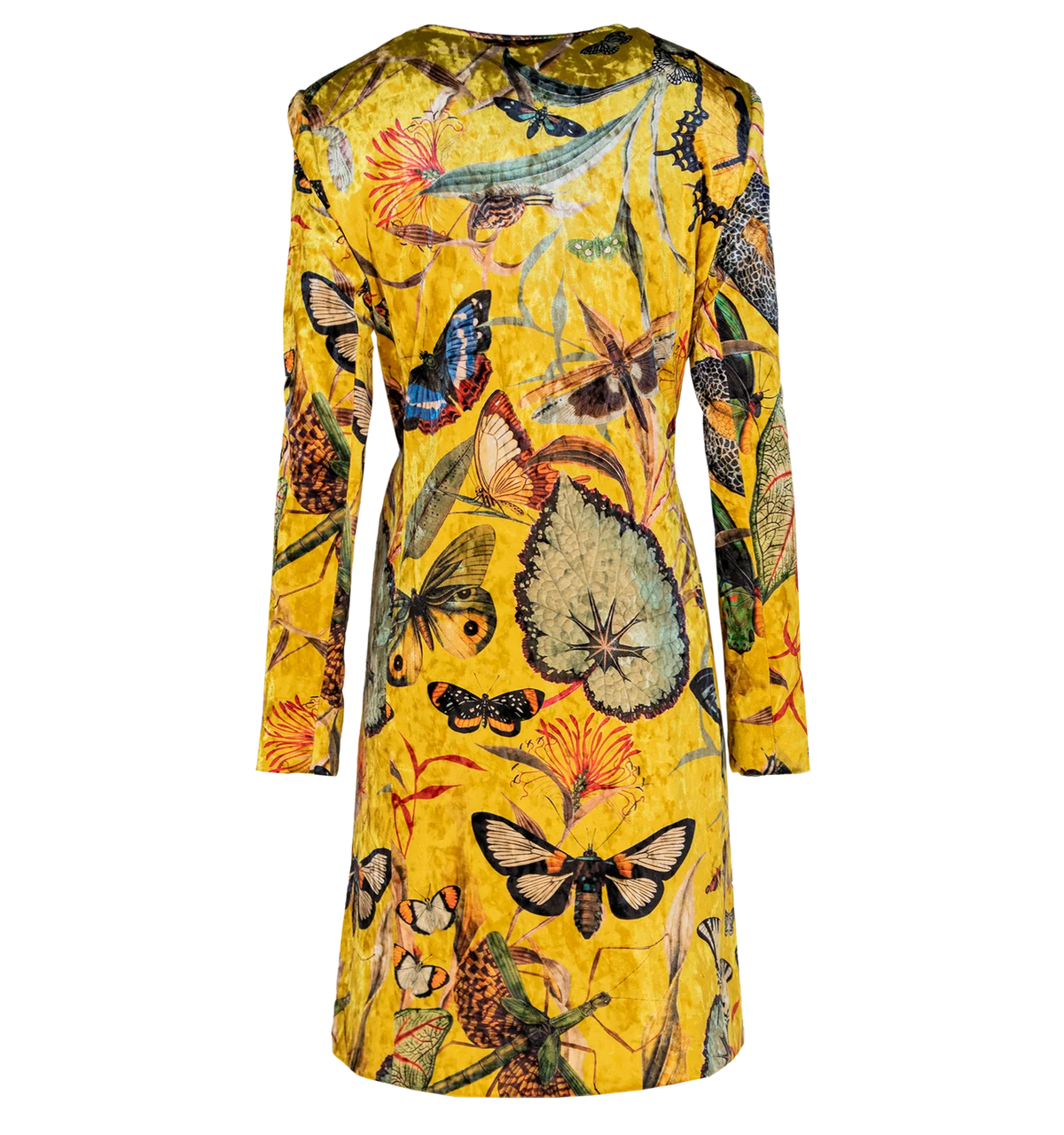 Yellow Butterfly Kimono back view showing full butterfly, dragonfly and botanical print on yellow velvet