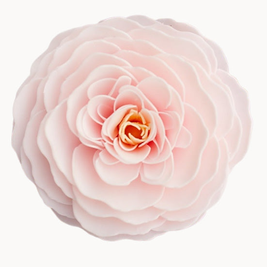 Cherry Blossom Soap