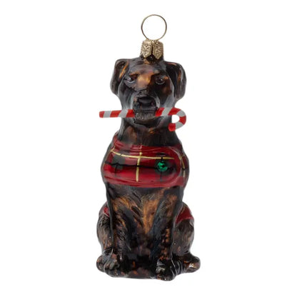 Chocolate Lab with Candy Cane and Tartan plaid Coat glass ornaments for holiday décor and seasonal displays.