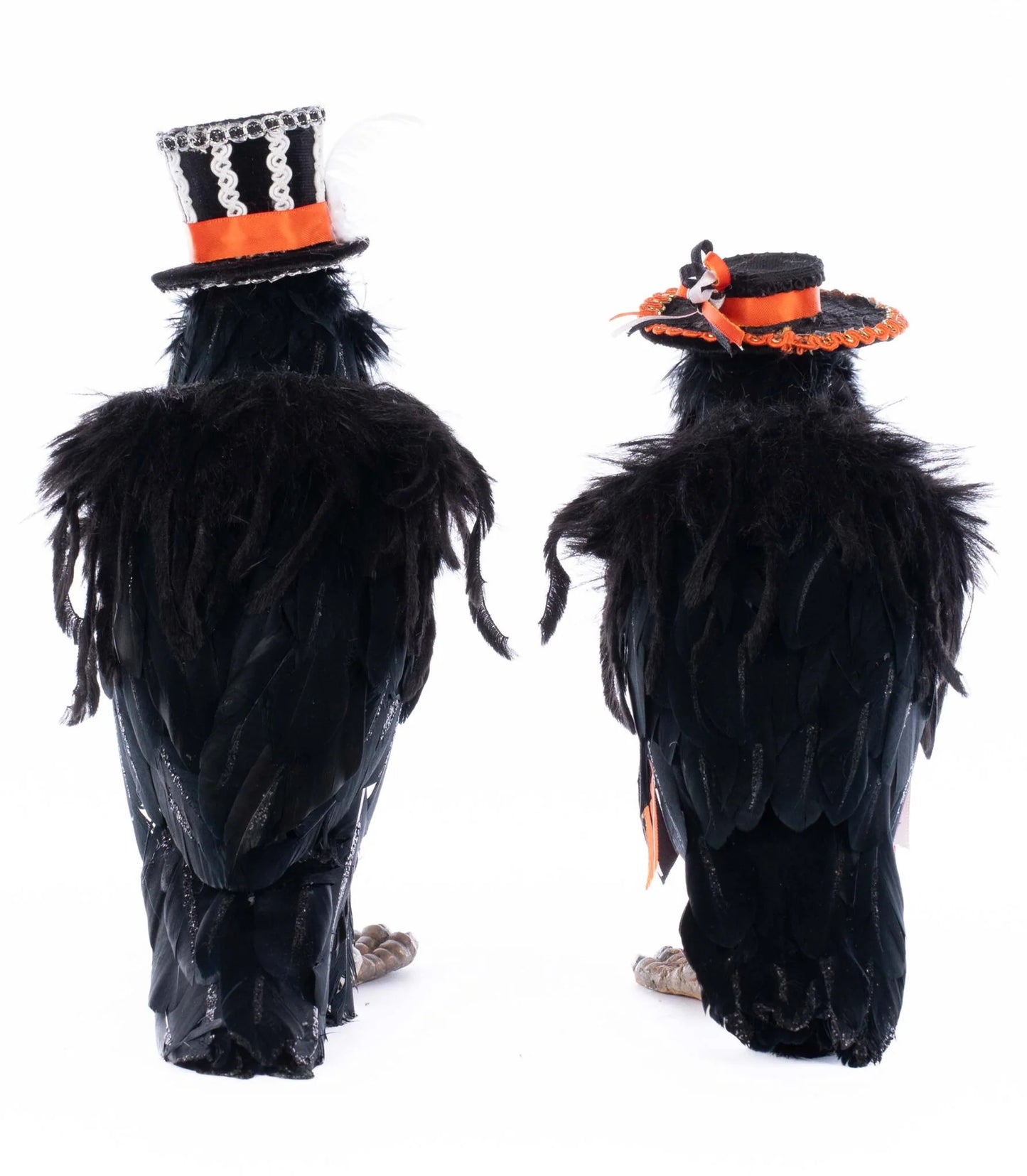 Edgar Allen and Poe the Crows