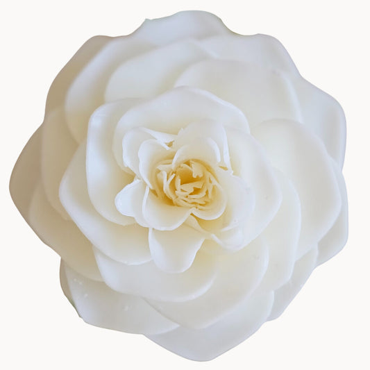 God's Grace Soap (Petite)