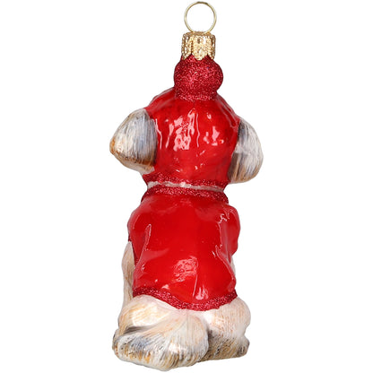 Shih Tzu in Winter Coat and Ski Hat