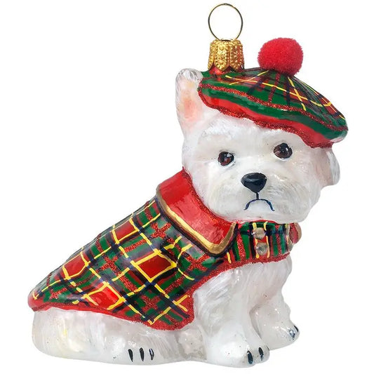 Westie Highlander
