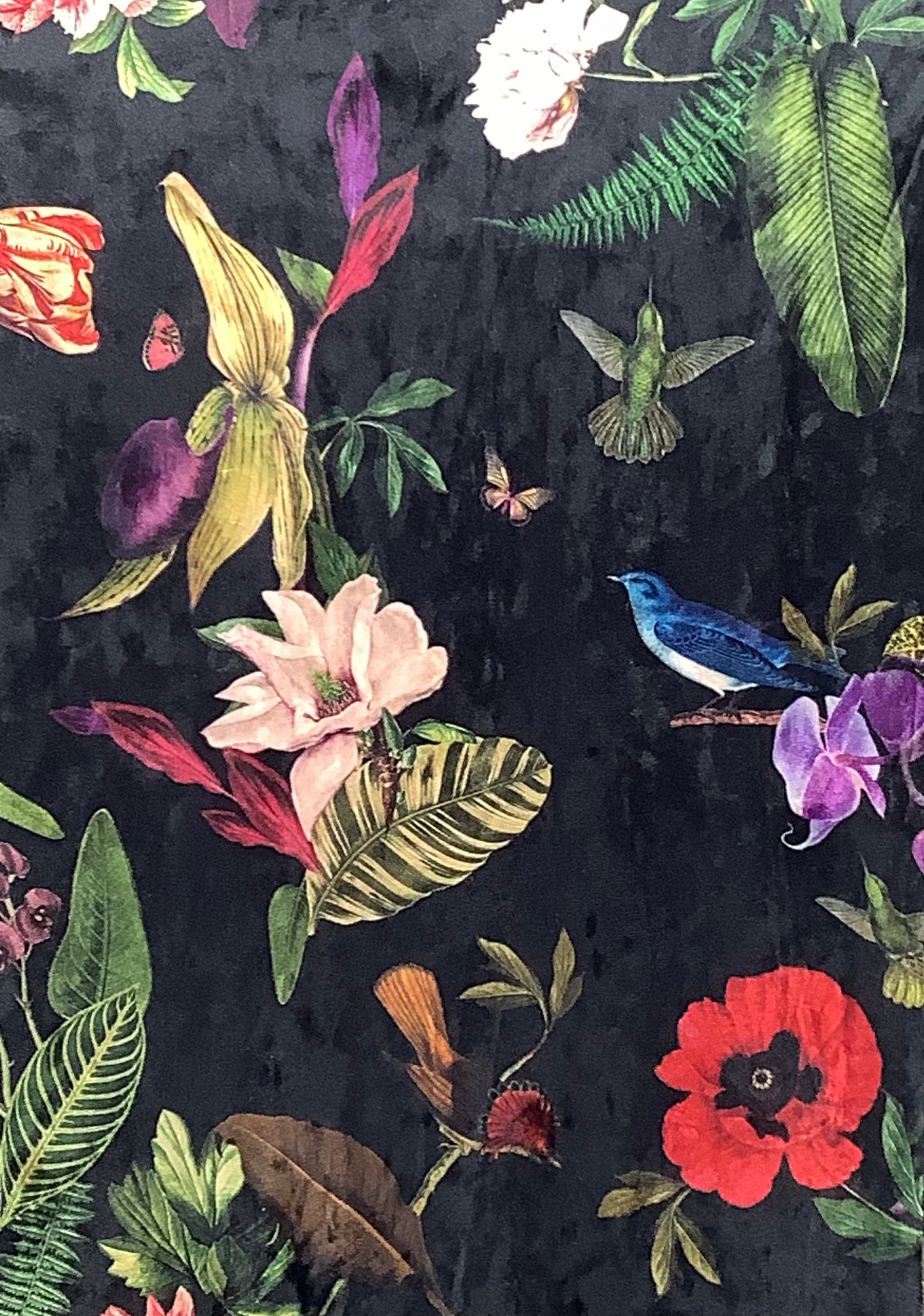 Botanical Birds Kimono