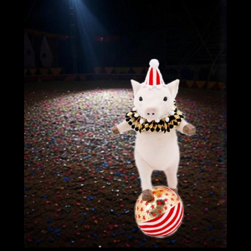 Dancing Pig